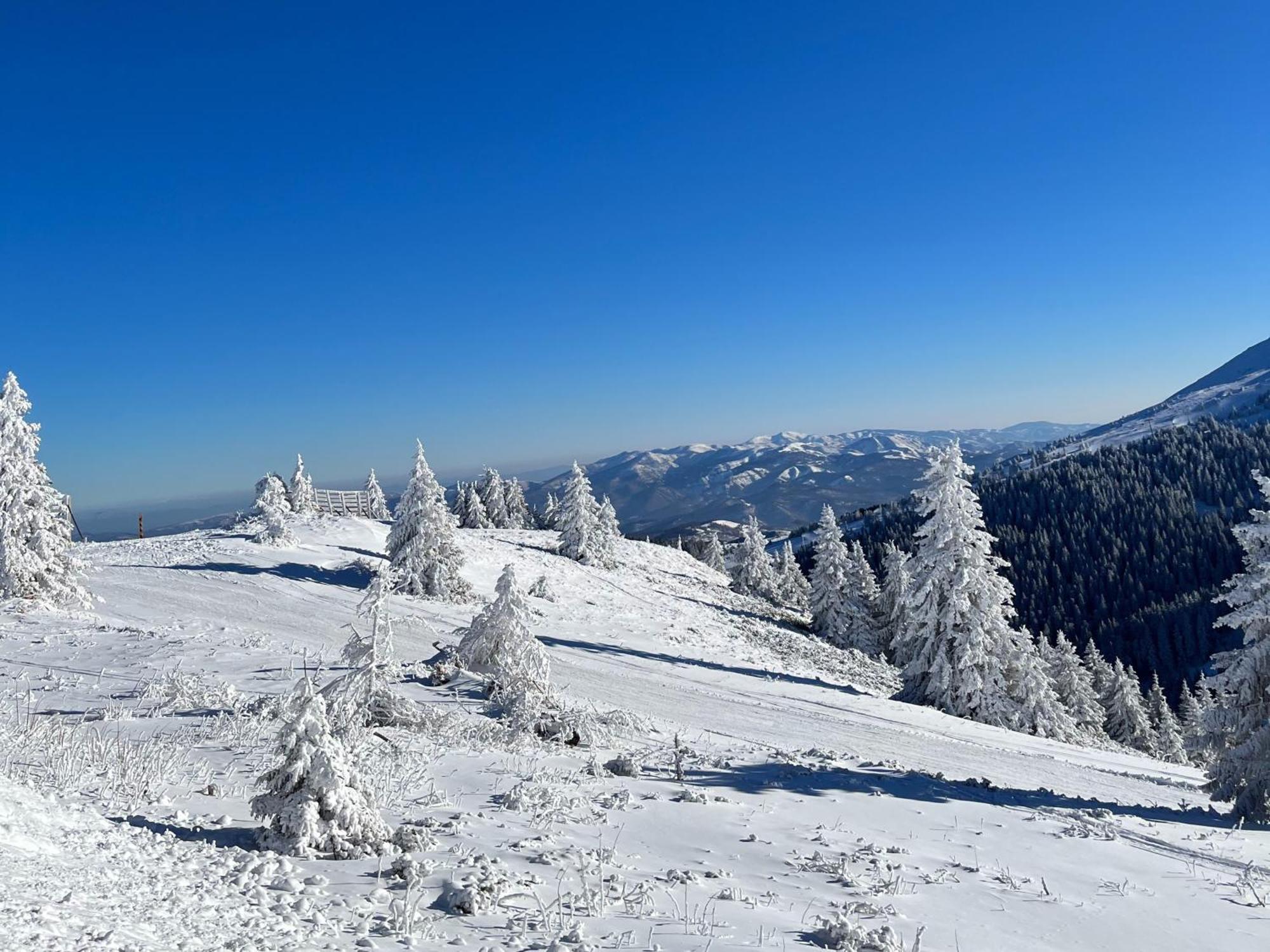 Hotel Junior Kopaonik Luaran gambar